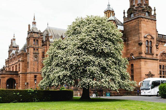 camuel's tweet photo. Kelvingrove
#city #citystreets #Glaschu #glasgow #glasgowcity #glasgowstreets #glaswegian #glaswegians #glesga #igstreets #onthestreets #peoplemakeglasgow #photography #scotland #scotlandscities #scottishcity #streetphotography #streetshooting #streetso… https://t.co/pXpyjT7F4Q https://t.co/z8bsmdUDNi