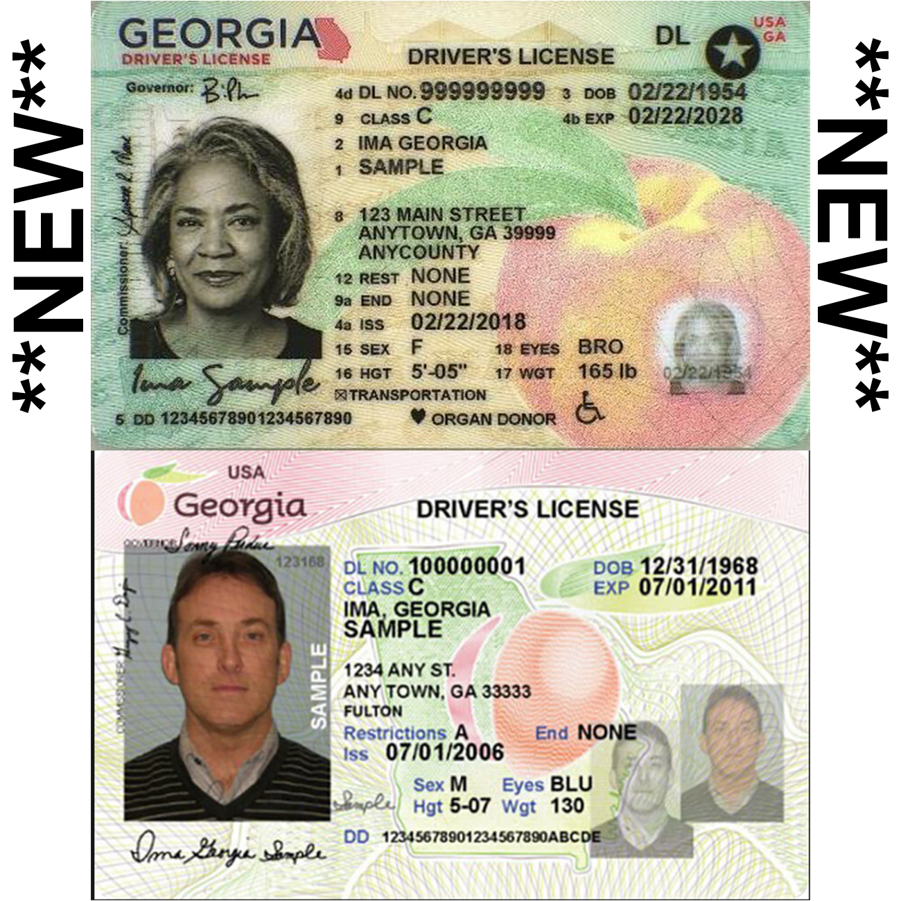 Ga Id Card