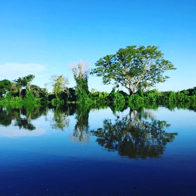 msporfavor's tweet photo. Espelho d’água no Rio Miranda.
Que coisa maravilhosa hein minha gente??
📸@edsonrocha.ms
#visitms #visitpantanal #riomiranda #istoematogrossodosul #pantanal #pantanasul #matogrossodosul #msporfavor #visitmsoficial #mirandams https://t.co/YqtBxfdAew