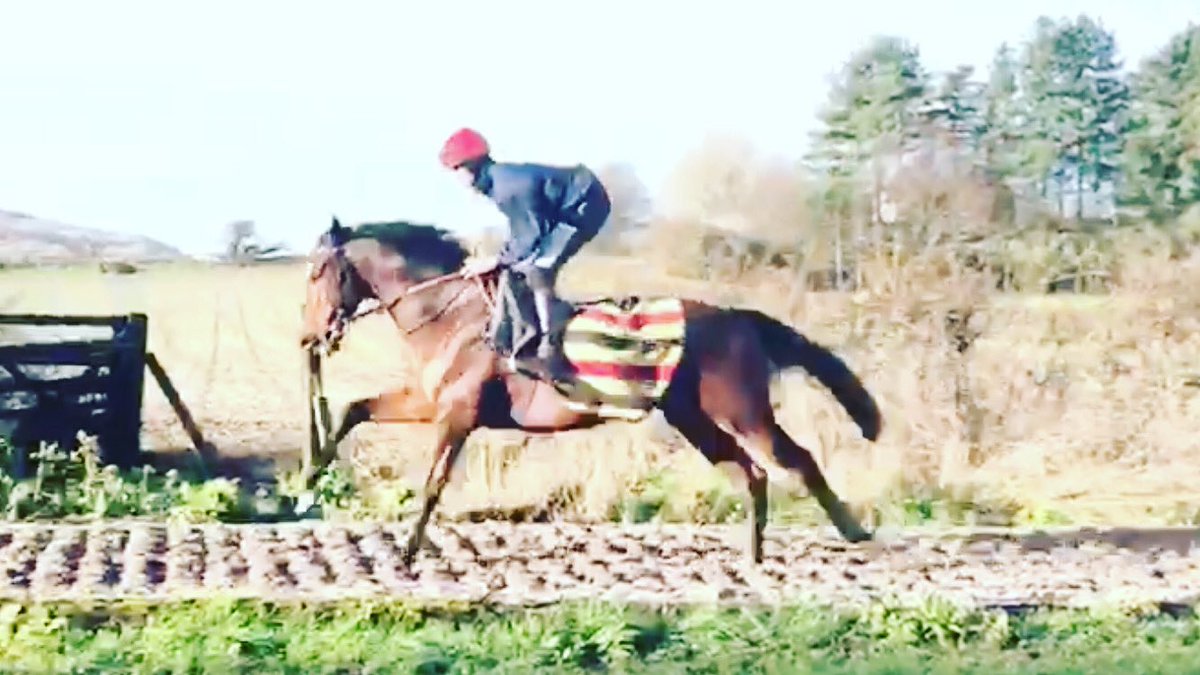 AztecsDreams putting in the work at home 🤙 🏇 💨