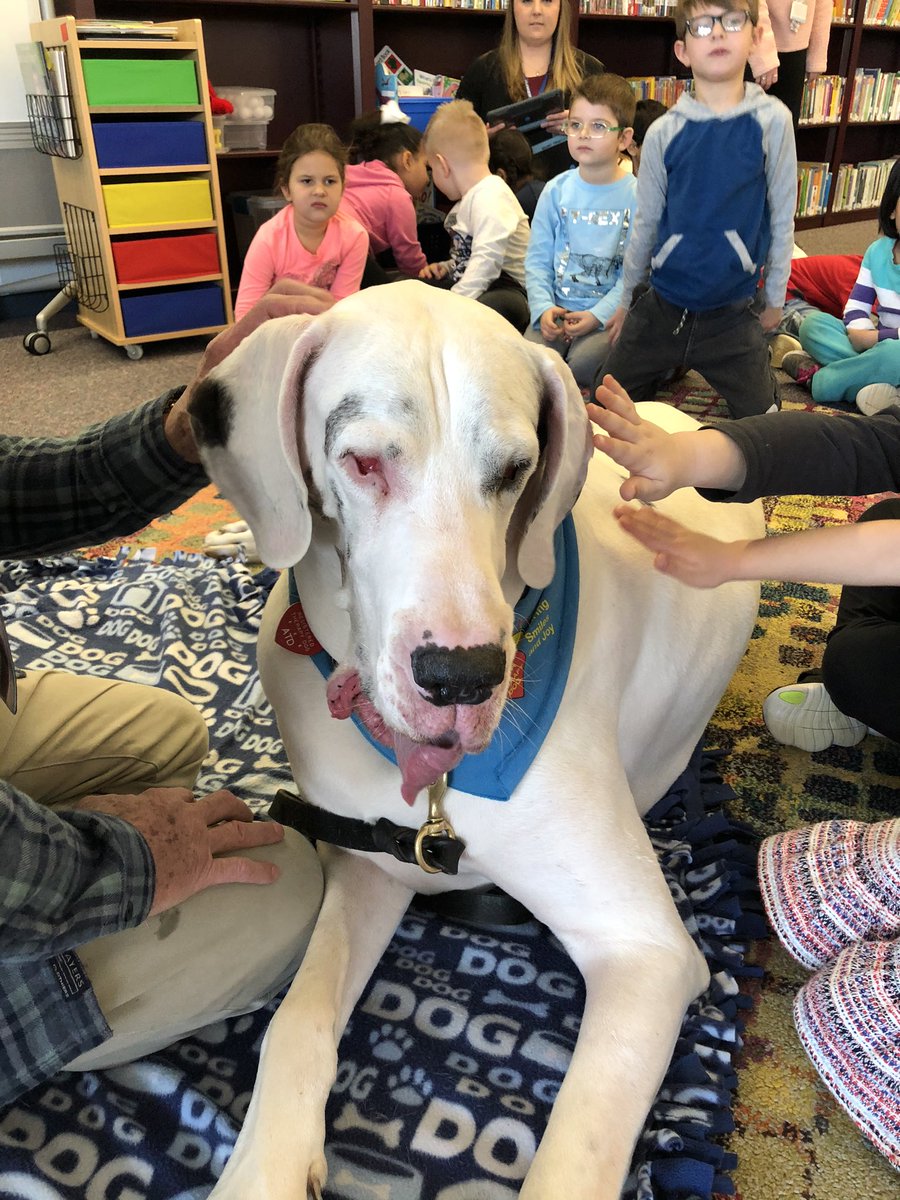 Sarah Share tweet media