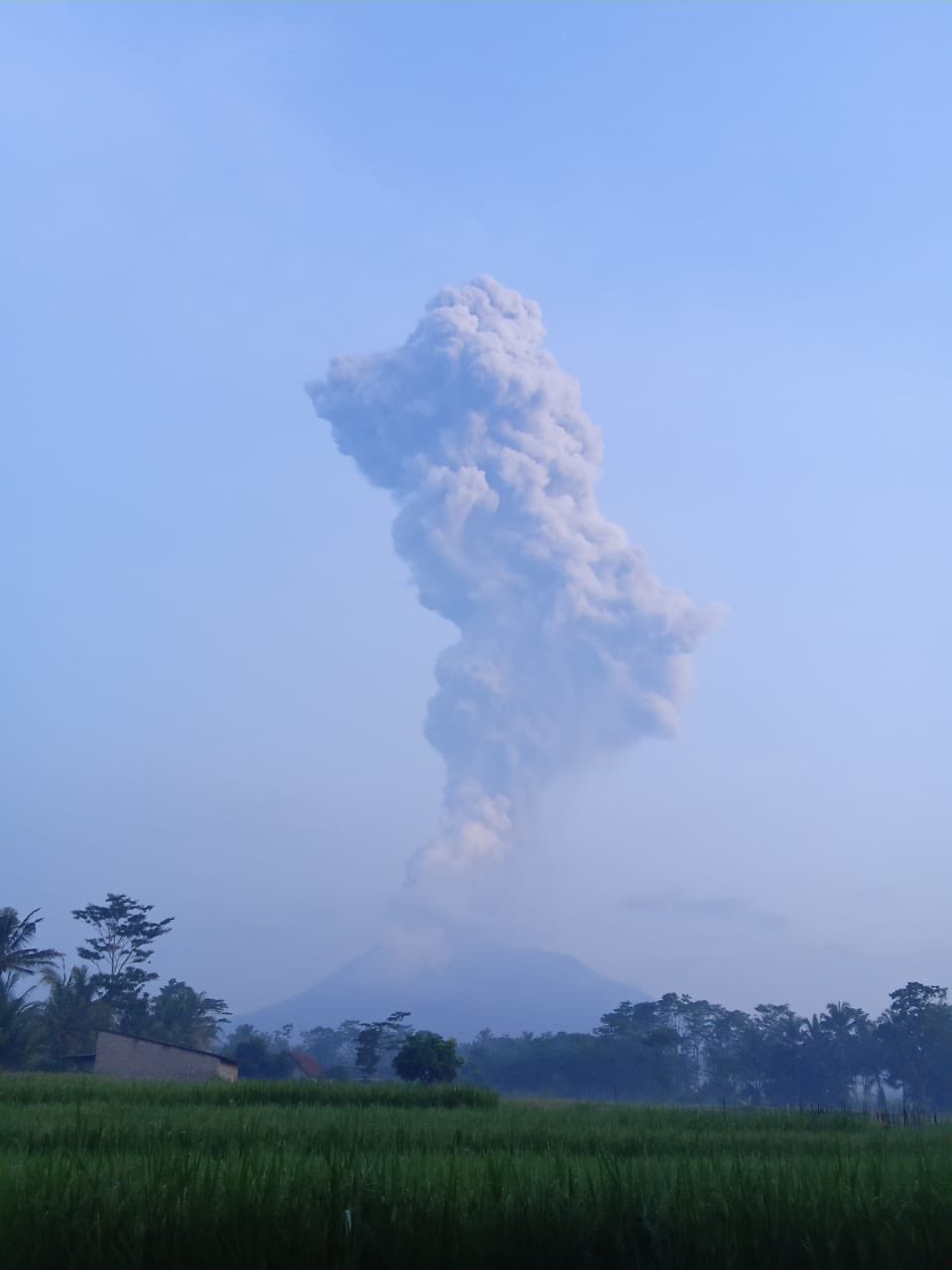 Foto foto Erupsi  Gunung  Merapi Kolom Semburan Abu 