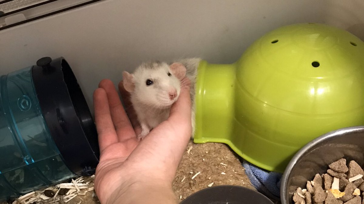 seeing each other again after three months <3