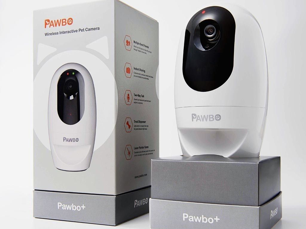 You are welcome, pet lovers buff.ly/2ThY092 #petcameras