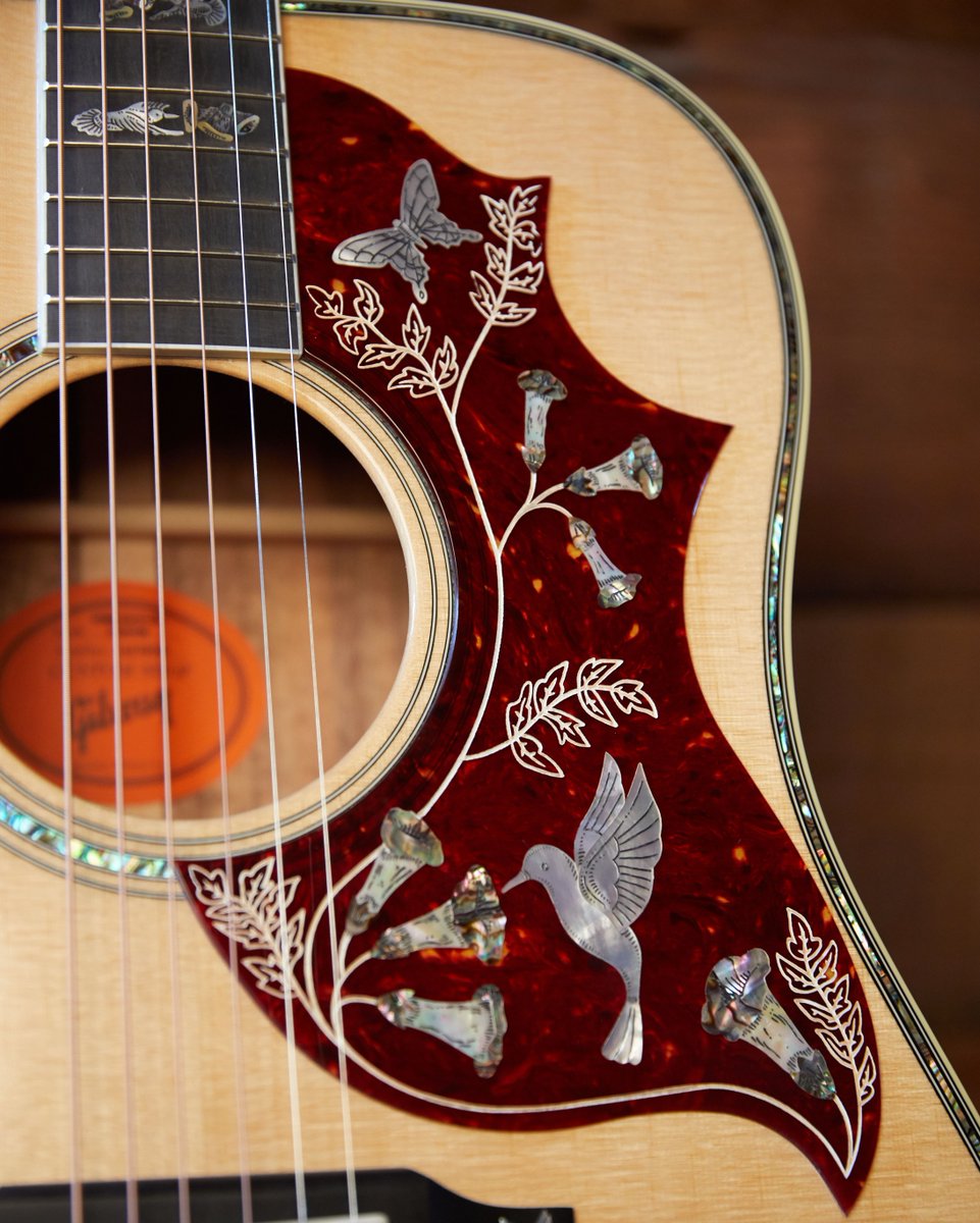 gibsonguitar's tweet photo. Up close with the Hummingbird Custom #gibson #theoriginal #gibsoncustom https://t.co/ksrRlXzrvN