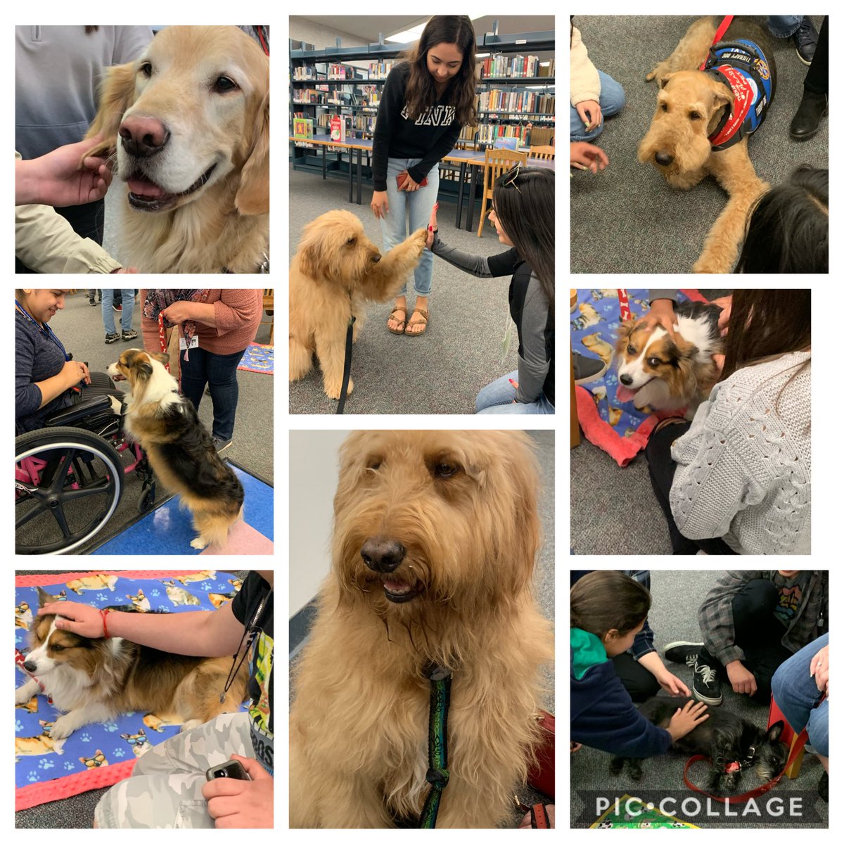 Pure love in the library today 💙 Happy Teen Read Week!