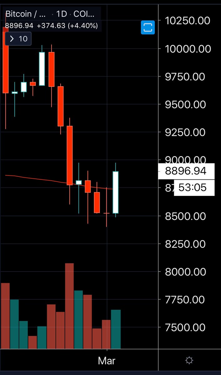 BIG Chonis tweet media