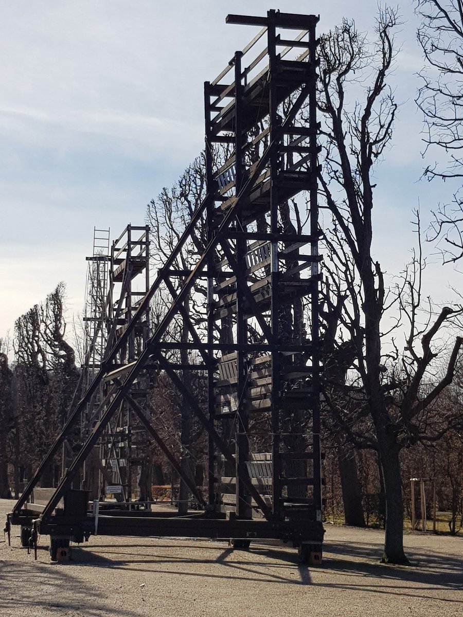 giffnockgal57's tweet photo. Always think of Ayrshire College and my day as a tree surgery student x heres a pic of how theyget Trees so perfect in Vienna Schonbrunn Palace @CarolATurnbull @AyrshireColl #cameronb https://t.co/1N58gr9RFW