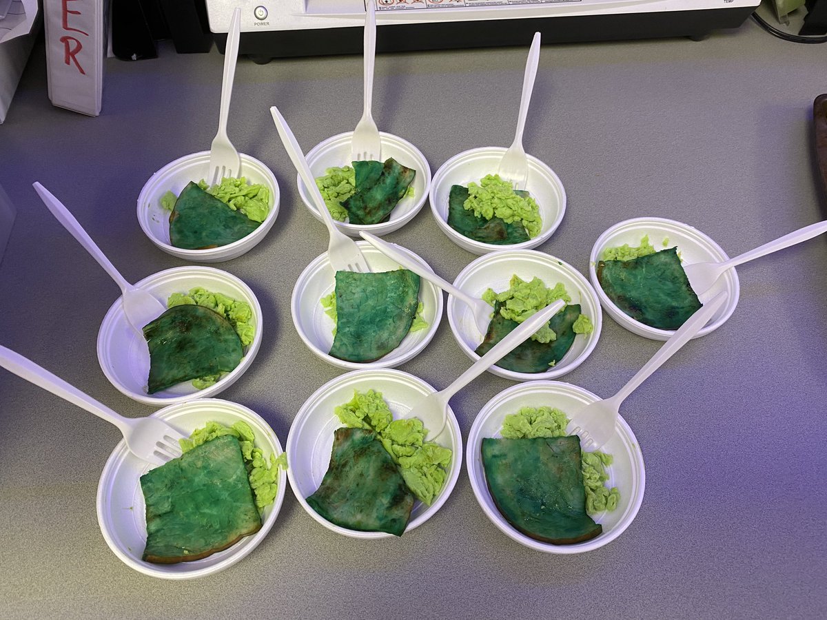 grote_mr's tweet photo. It’s #DrSeussDay and we’re having green eggs and ham! #WEareLakota thanks @k_snyds1 and @NicoleMcGannon #room147 https://t.co/JOyTTwXcnY
