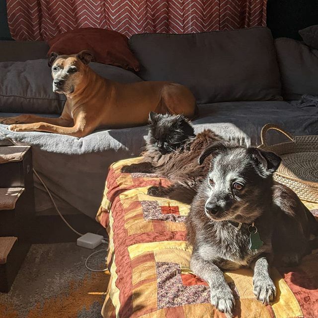 curlyhost's tweet photo. We all get to enjoy this sun today! Love it! https://t.co/SUYm0EDNfn