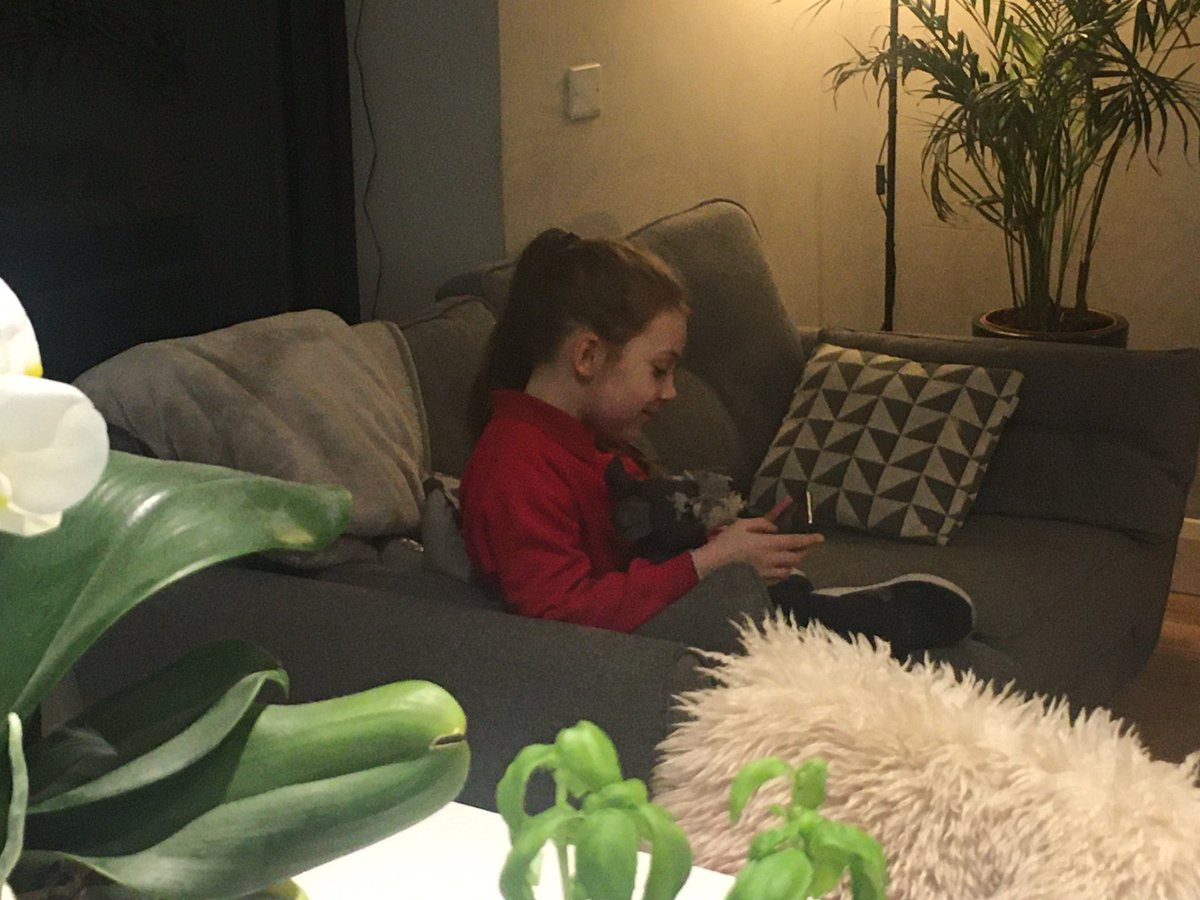 Nic McHugh tweet media