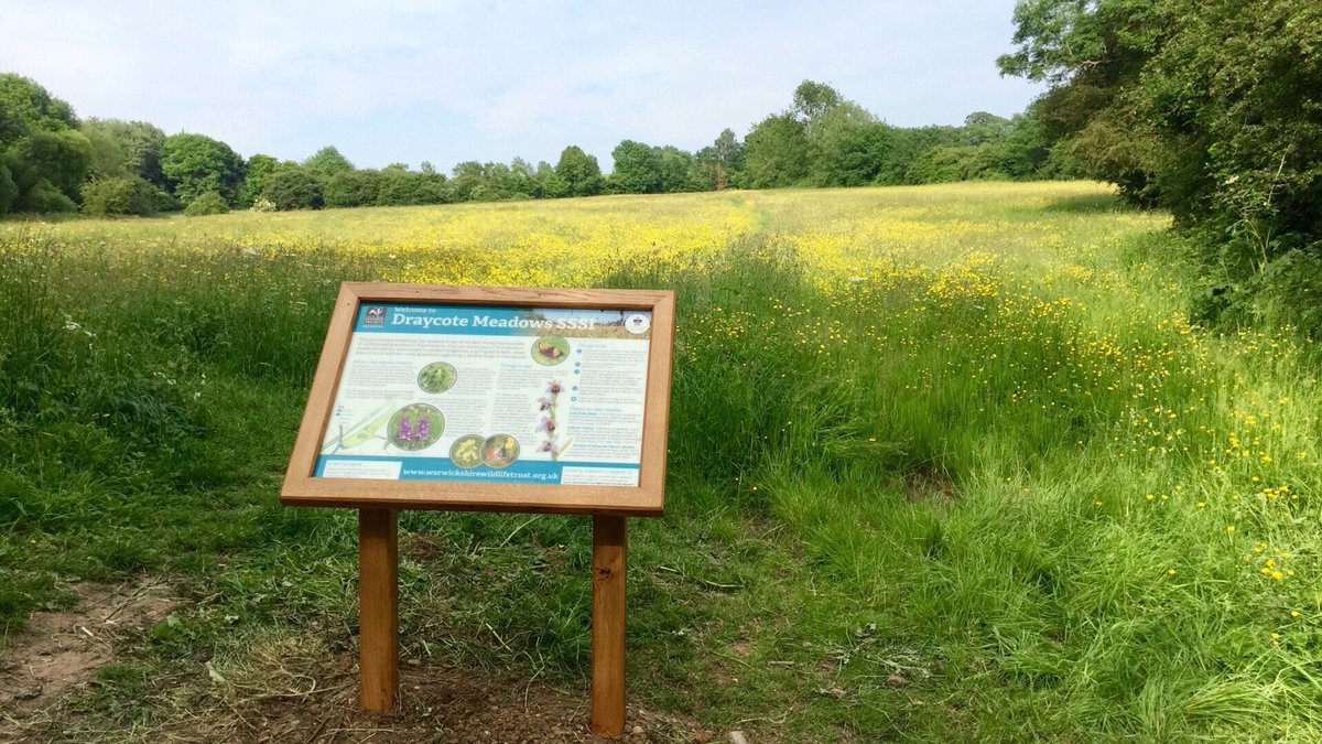 wild_rogerstone's tweet photo. Our wildlife interpretation board is ready to be ordered for our wild meadow project in the Welfare grounds - we will have Rogerstone CC and @wild_rogerstone logos. Local schools do you want your logos featured? Need a response ASAP so it can be ordered in time! https://t.co/hKjuMKD4sI