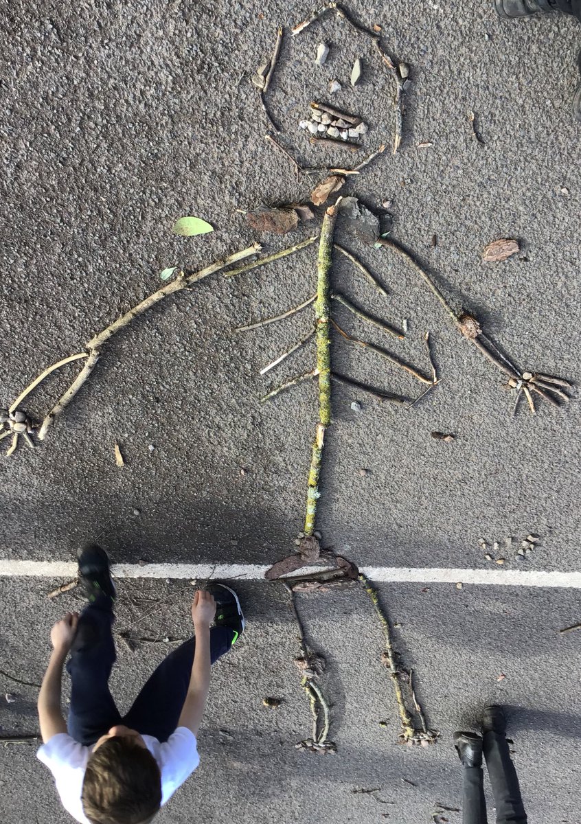 GoodrichCESch's tweet photo. In Science, Woodpeckers have been learning all about our skeletons and the different bones. We used natural objects to make our own skeletons. Even Reception children wanted to join in! #GSwoodpeckers #GSscience #GStopic https://t.co/uCBNB6qz1U