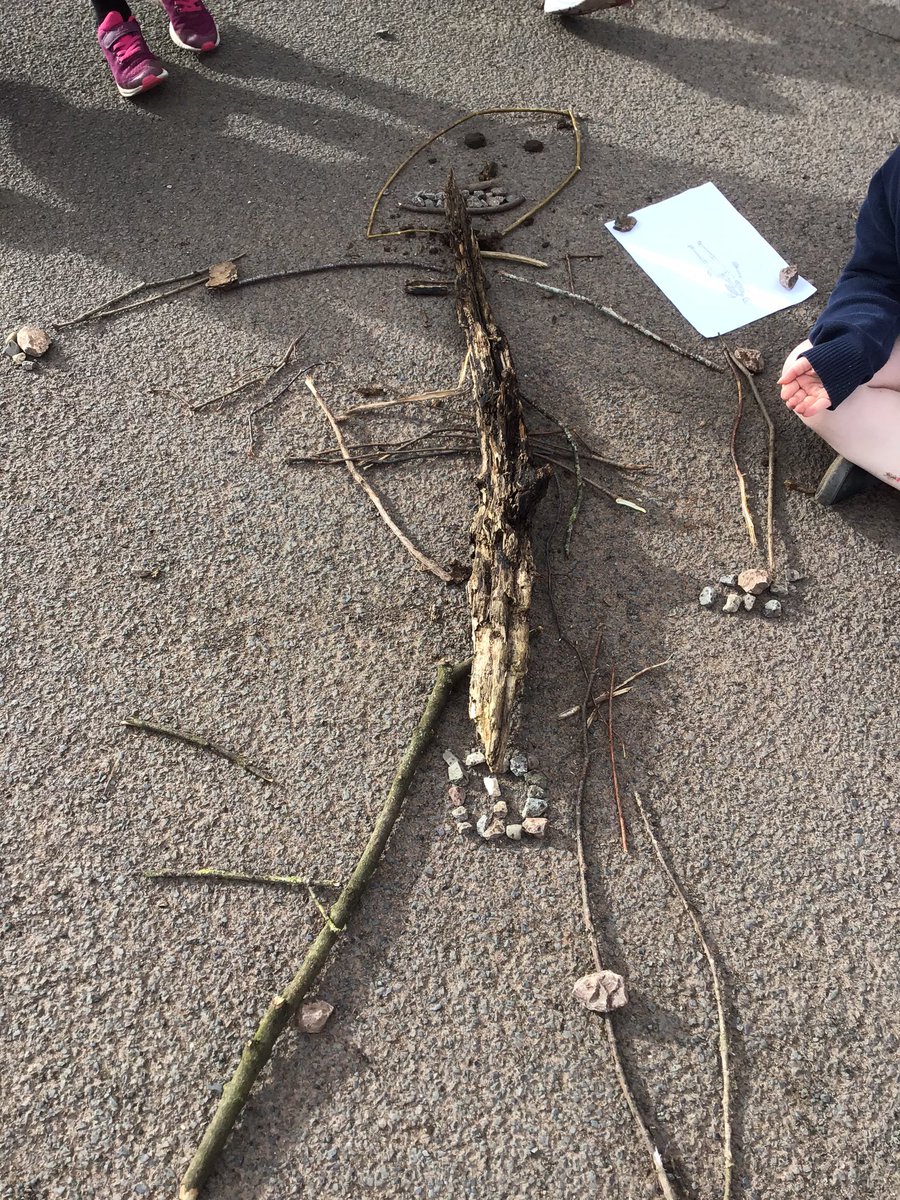 GoodrichCESch's tweet photo. In Science, Woodpeckers have been learning all about our skeletons and the different bones. We used natural objects to make our own skeletons. Even Reception children wanted to join in! #GSwoodpeckers #GSscience #GStopic https://t.co/uCBNB6qz1U