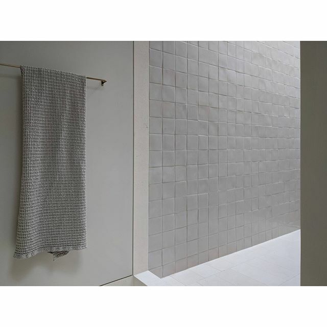 Shapeless Studio tweet media