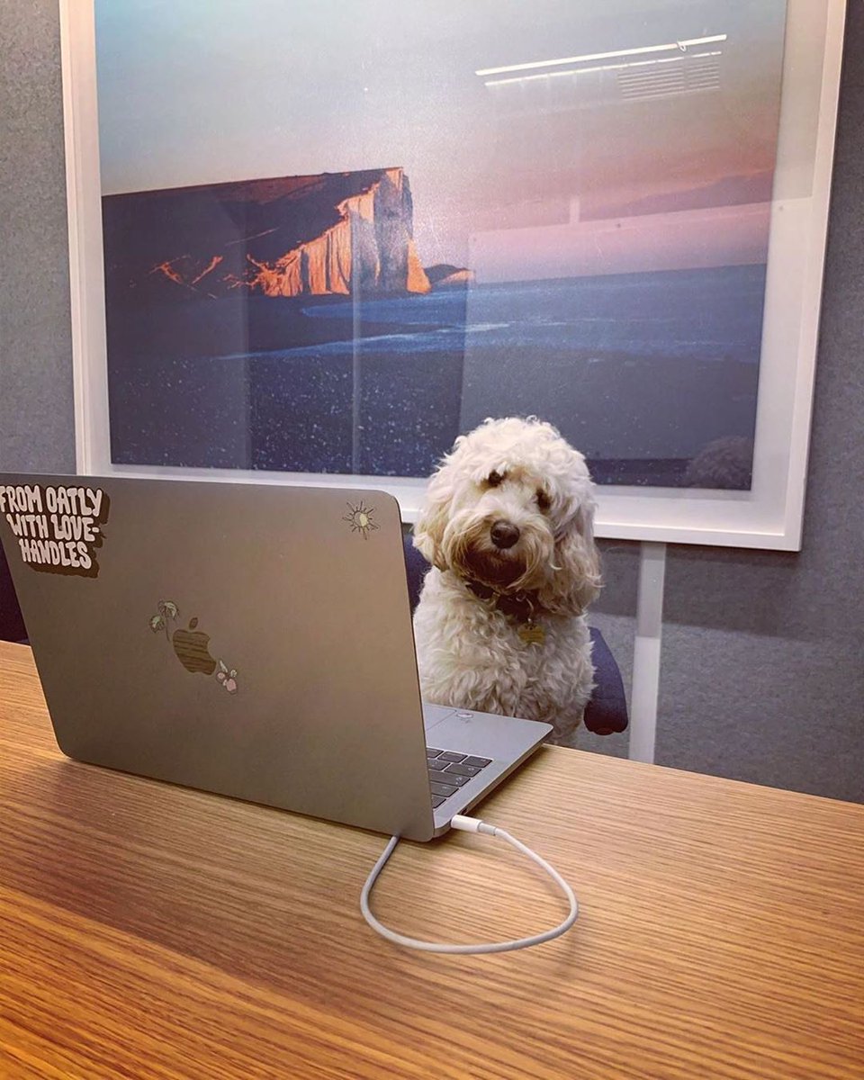 WeWork Brasil tweet media