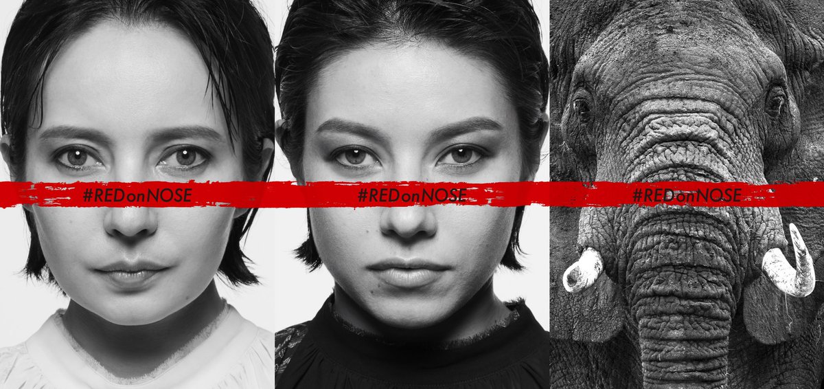 #REDonNOSE 🖍で #私は象牙を選ばない　宣言を。🐘 私は姉と一緒にアフリカゾウの保全プロジェクトに参加します！

instagram.com/p/B9PP7LGHH0p/…