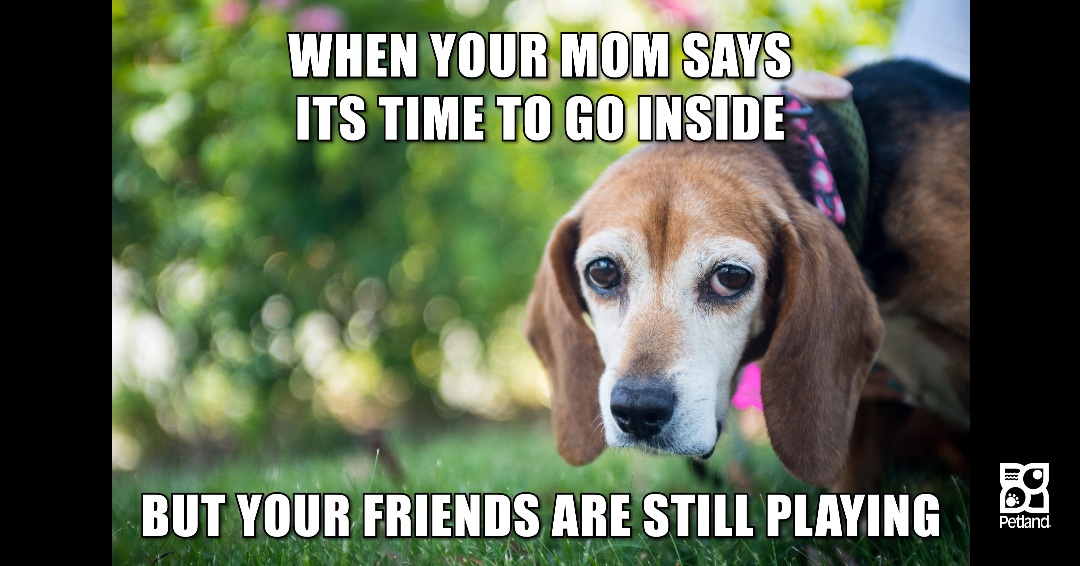 Meme Monday!😄😂😆😅