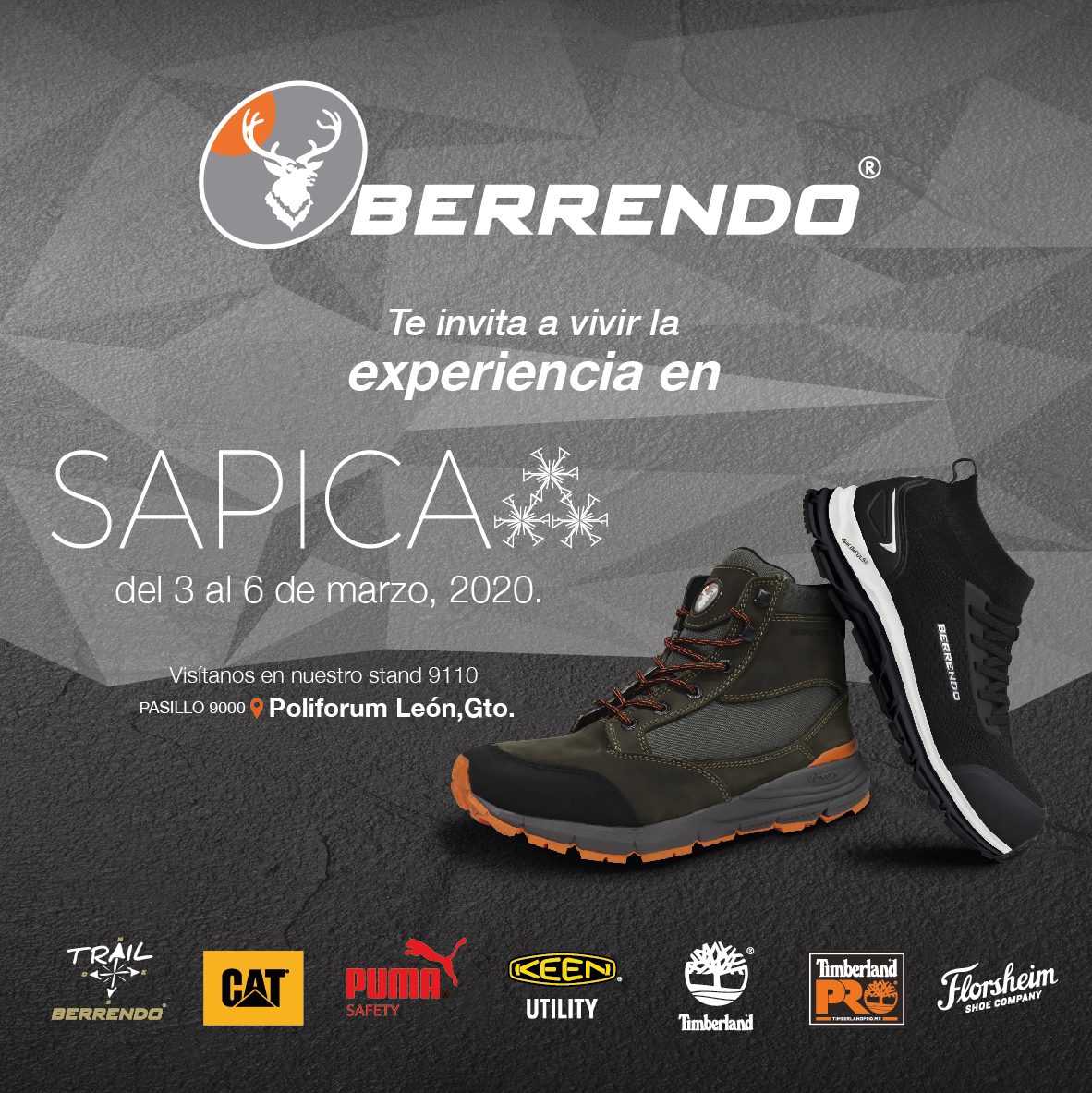 berrendoteam on Twitter: \