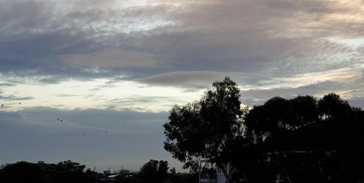 CherScheff's tweet photo. Skies last week #Februaryclouds
#Birds https://t.co/IwFMctQDT0