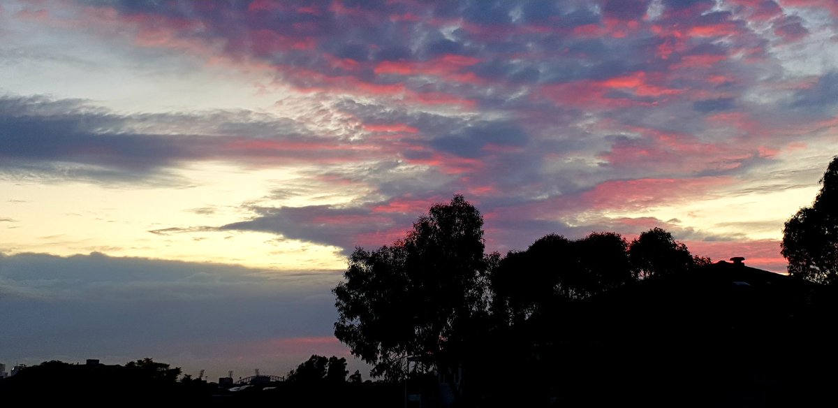 CherScheff's tweet photo. Sunrise skies #Februaryclouds https://t.co/hxTPx80cex