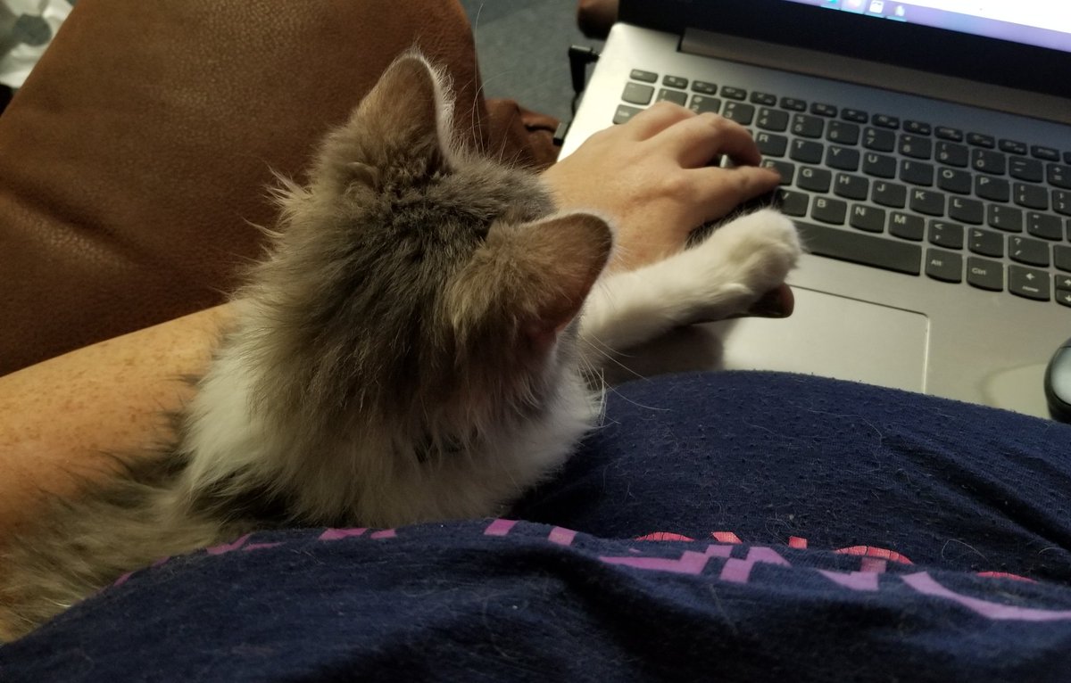 AwkAfAlly's tweet photo. @rivercrystals I'm at work, but here's my contribution to the fluff thread as he assists me! 💕 https://t.co/T3LDLATG83