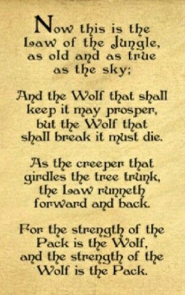 MaturingScott's tweet image. Men need tribes at every phase of their lives. I know for certain this is true for Veterans who have experienced real combat, and the loss of comrades. Isolation kills, as I have seen personally. #endveteransuicide #masculinity