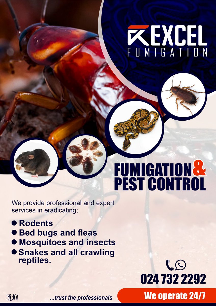 dennisdika's tweet photo. Hello Fam, this is my hustle. Kindly help me share. My customers are on your TL. Business duly registered @oswaldtheson @_favouritesmile @gyaigyimii @johndumelo1 @JoeUnchained @thenanaaba @eliavot_ @eqow_mclean @sarkodie @_owurakuampofo @Fentuo_ #AbsaIgnition https://t.co/6T5Y0zPYzj
