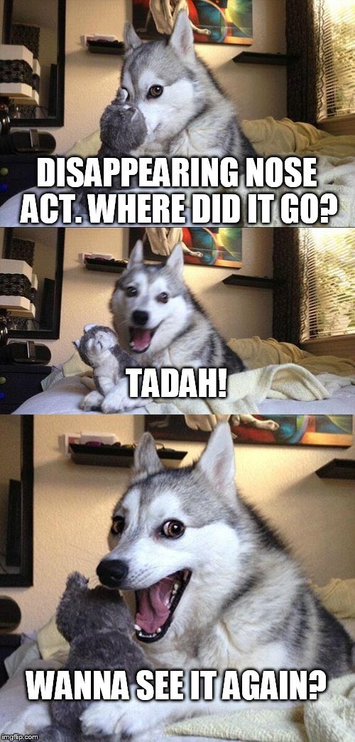 Molly57554797's tweet photo. This made me laugh wayy harder than it probably should have!!😆😂😂😂 ✨🎩🐕✨     @magicgoeswrong @mischiefcomedy https://t.co/P6afvWpBYj