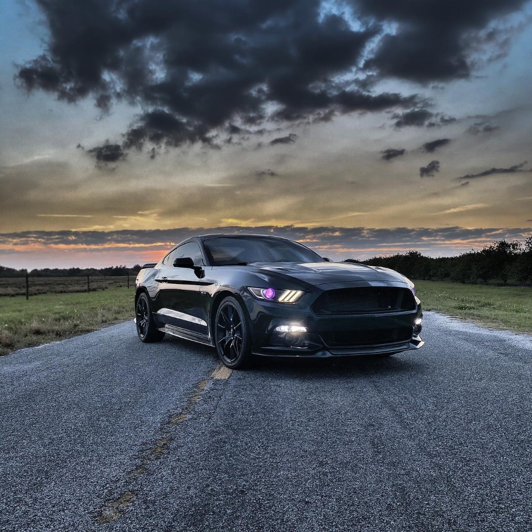 The_JPEmerson's tweet photo. RT SCTPerformance: #MustangMonday 🤘
#SCTPerformance | #SCTTuned | #SCTTuning | #SCTTuner | #cars | | #mustang | #ford | #mustangfam | #stang_gang | #gofast | #morepower | white__s550 | #fordmustang https://t.co/DudlJFdBVo