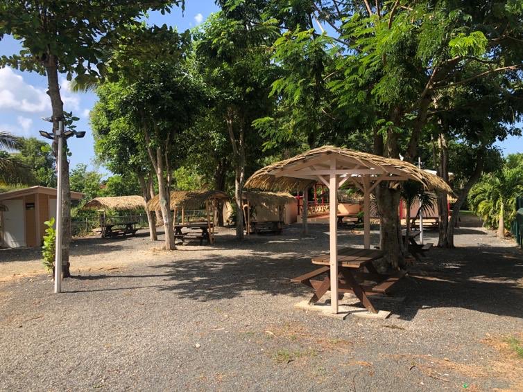 SunIslandFest's tweet photo. Avez vous déjà passé une journée au domaine de #beauportGuadeloupe? 🌾☀️
C’est ici que nous vous accueillerons les 11 et 12 avril pour le @SunIslandFest . 
#sunislandfest https://t.co/bLkq5srsvR