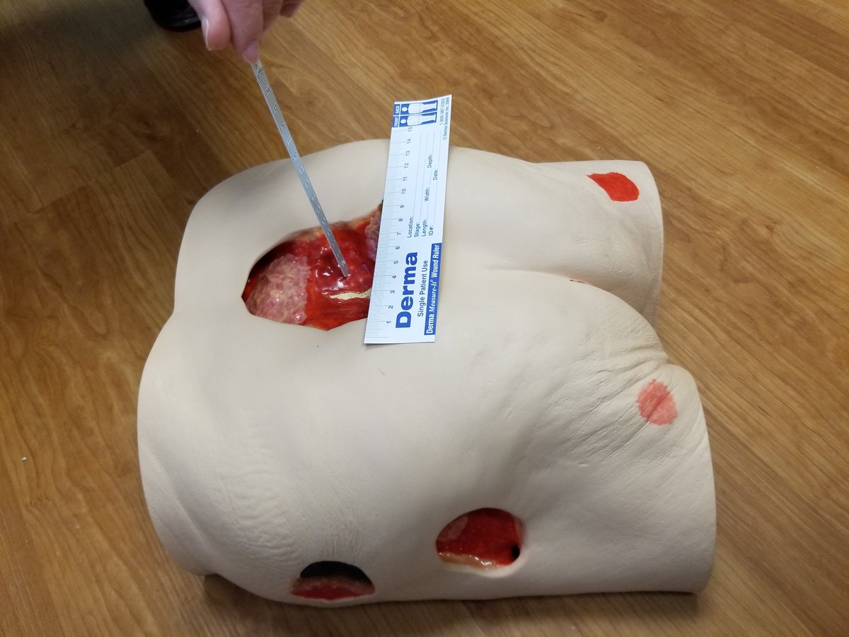 BPSO Perley Rideau tweet media