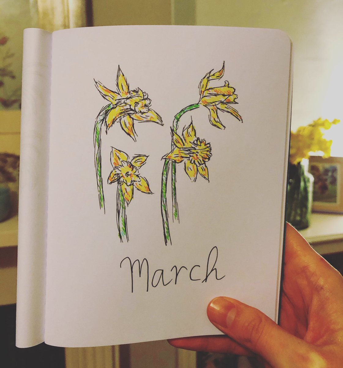 RuthEHawke's tweet photo. March. Thank god you’re here. 🌞 #sketch #spring #daffodils https://t.co/tGvv3eJhQi