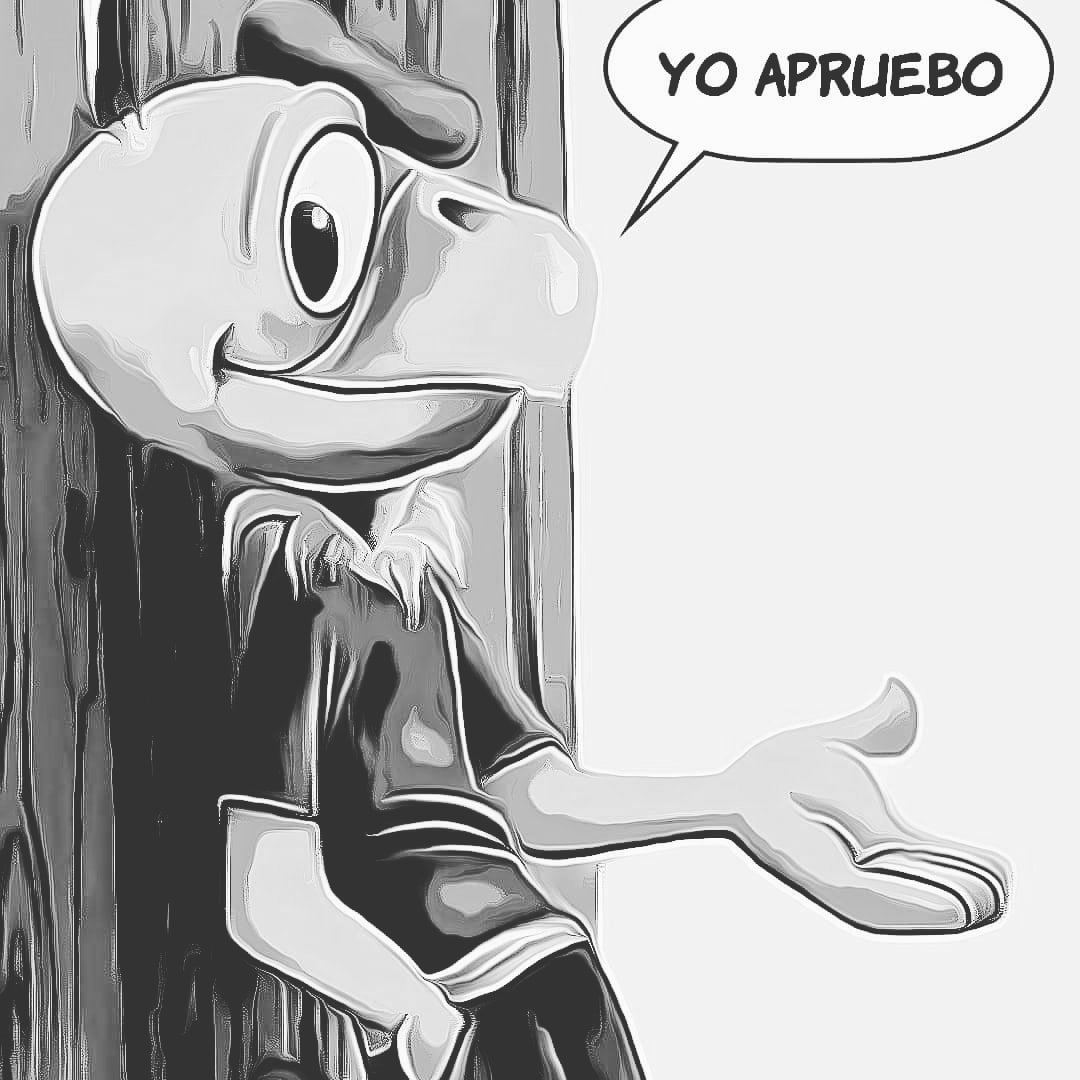 Ricardo6295's tweet photo. #y"Asamvenciónconstituyente https://t.co/Rbq1gq3855