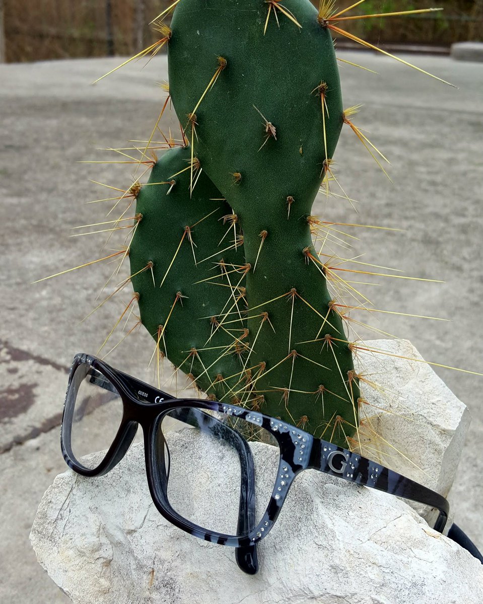 Imageoptical1's tweet image. IMAGE OPTICAL + GUESS = EYECANDY
sexy, youthful eyewear styles for independent, self-assured women,  only at Image Optical in beautiful Del Rio, Texas.  #ImageOpticalDelRioTexas  #iloveglassesplainandsimple  #Imageoptical1 #ChangeYourFrameOfMind