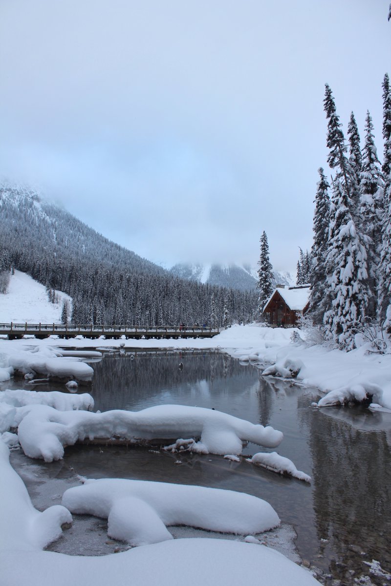 “In the depth of winter I finally learned that there was in me an invisible summer” Albert Camus

#livetheadventure #discovercanadatours #emeraldlake