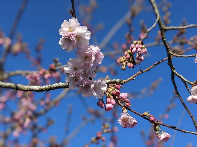 Hello Spring! 👋 We've missed you 🌸 ift.tt/2Tf8WUY