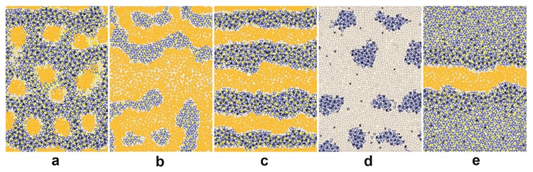 al_volkening's tweet photo. Happy to share my new @TheSIAMNews article on modeling #zebrafish skin #pattern formation (with @BjornSandstede) today: https://t.co/Odxo2npCHj @QuantBiology #selfOrganization #devBiology https://t.co/CELv5Gw2pX