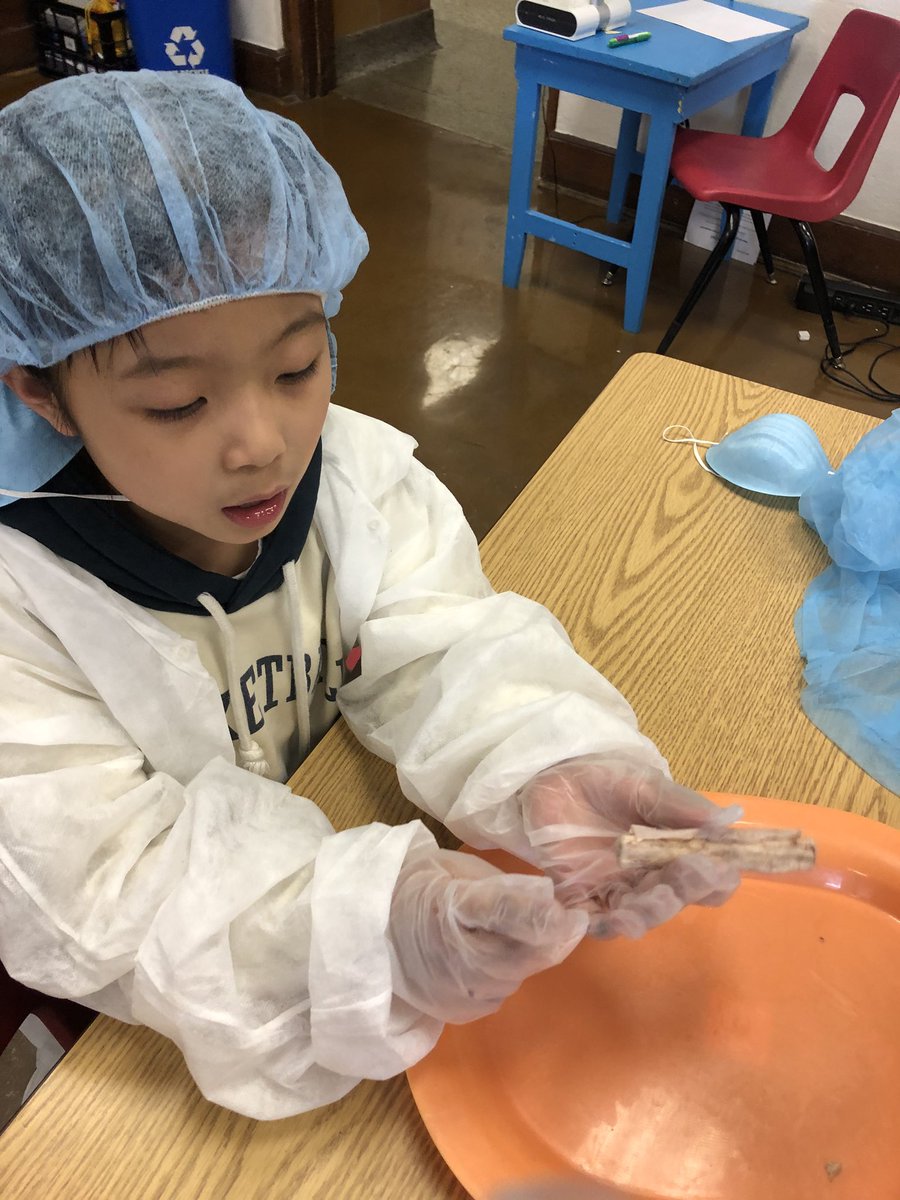 GillespieJerra's tweet photo. Exploring brains hearts and spinal cords #real #handson @PhelpsCenter @BlaineAndrea https://t.co/X5tPFEFmDD