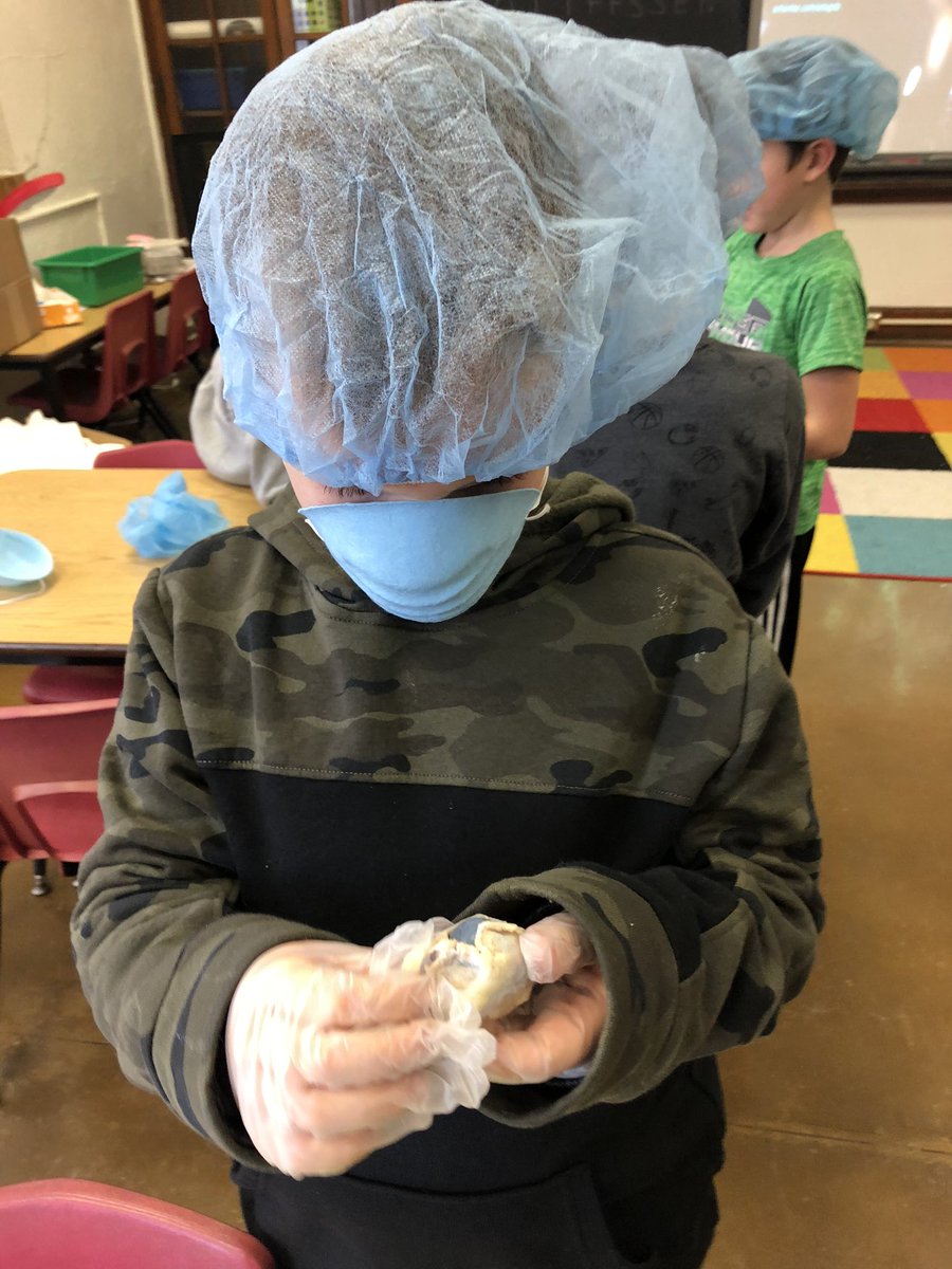 GillespieJerra's tweet photo. Exploring brains hearts and spinal cords #real #handson @PhelpsCenter @BlaineAndrea https://t.co/X5tPFEFmDD