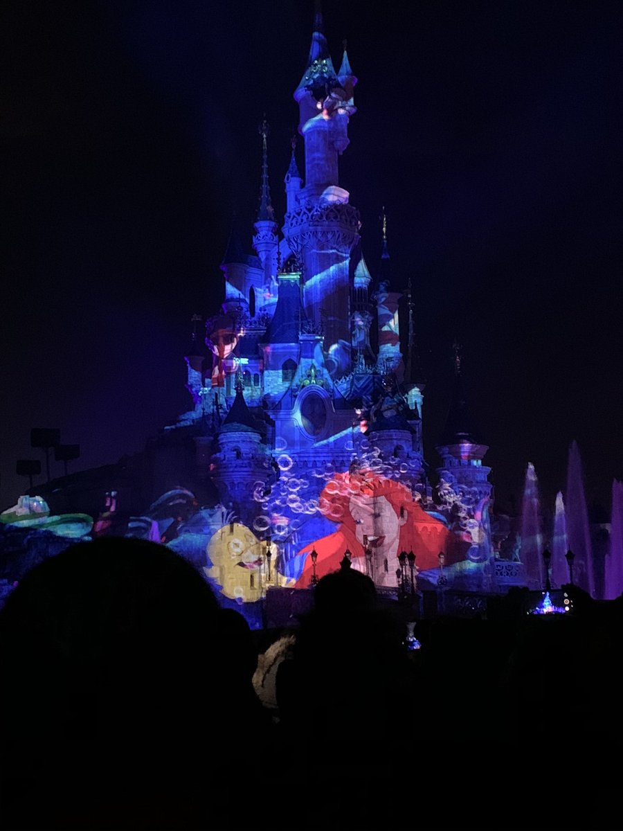 RCS_Trips's tweet photo. Wonderful light show to end an amazing business trip ‘When you wish upon a star’ #rcstrips https://t.co/3GKe3IQmz5