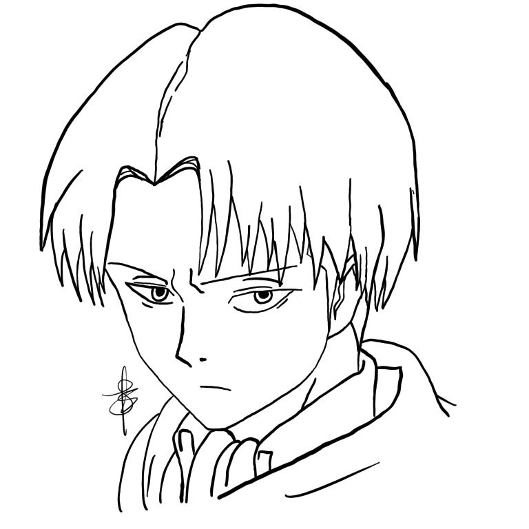 Levi Attack On Titan Sketch