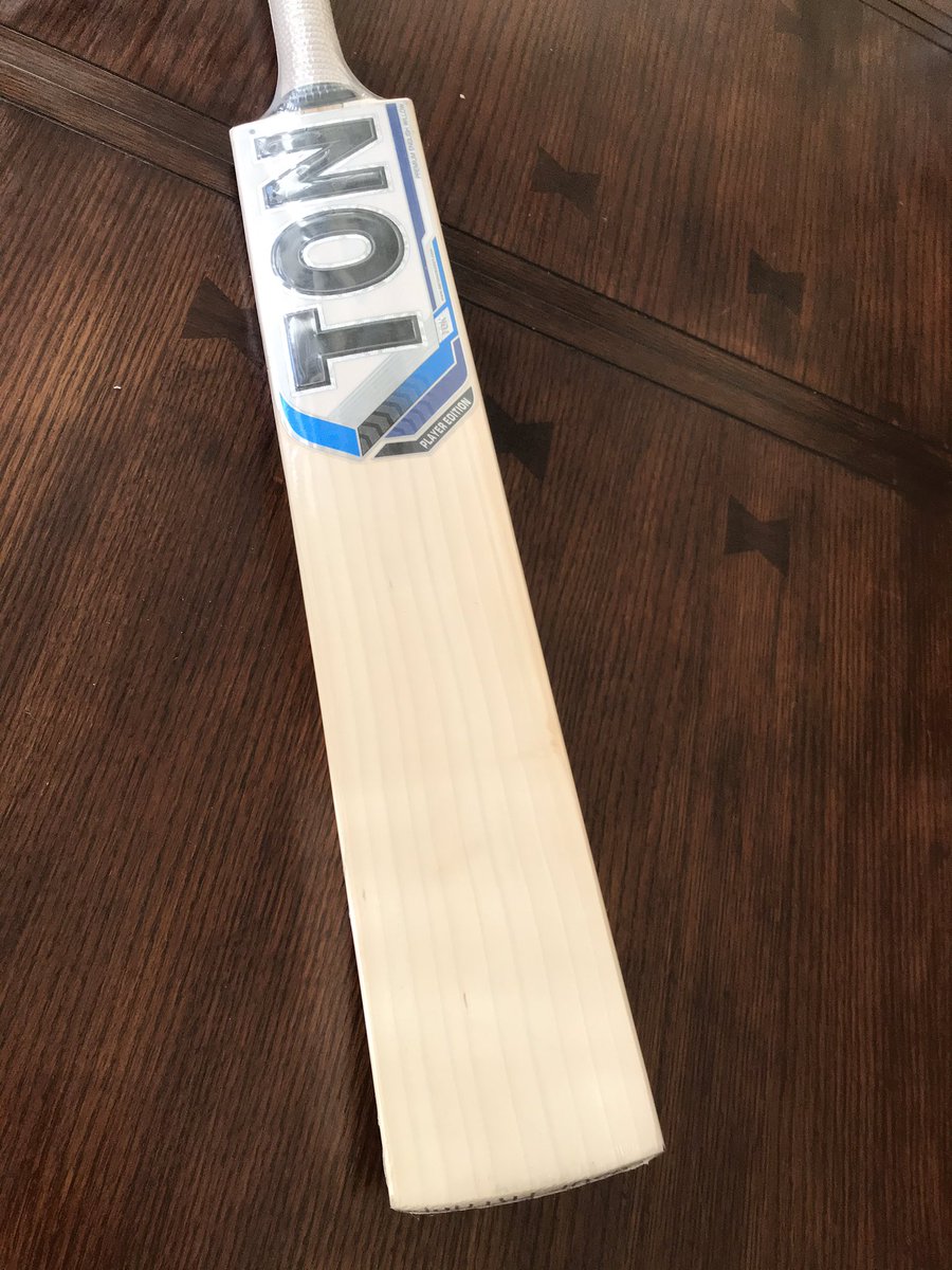 ss player edition cricket bat