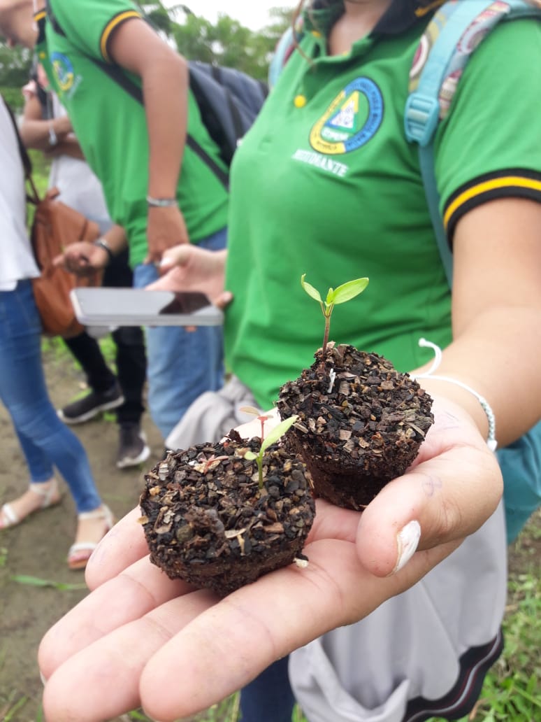 ISTPEM1's tweet photo. Como práctica de la asignatura de cadena productiva, los estudiantes de V nivel de tecnología superior en Producción Agropecuaria aprenden sobre la producción de pimiento y algodón en la unidad experimental de la Facultad de Agronomía de la @UTMManabi https://t.co/llLhm7UDwM