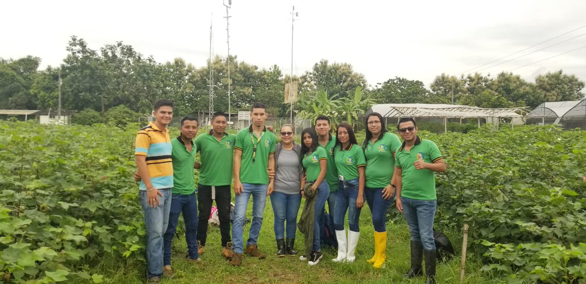 ISTPEM1's tweet photo. Como práctica de la asignatura de cadena productiva, los estudiantes de V nivel de tecnología superior en Producción Agropecuaria aprenden sobre la producción de pimiento y algodón en la unidad experimental de la Facultad de Agronomía de la @UTMManabi https://t.co/llLhm7UDwM