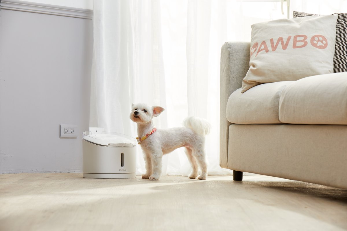 TrueToSource's tweet photo. Thirsty solution for all your furry pets—One water source for all! Flowing fresh water to keep your pets hydrated throughout the day. See how much your pets drink everyday with the Pawbo Pet Fountain. 🐾

#Pawbo #Acer #PawboSpring  #petfountain https://t.co/keNuA08Bas