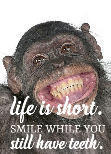 justbetc's tweet photo. MONDAY TIP: "SMILE, IT'S GONNA BE A GOOD WEEK"!
#leadershipstrategy #emergingleaders #selfleadership #personalgrowth #justbetc https://t.co/CiVa2C4tNu