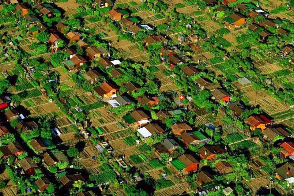 ExtinctionR's tweet photo. This is #Foodscaping. 

Each front and backyard, and public spaces with lawn are reclaimed for conscious design to grow food and create environments for wildlife.

Neighbors consult, interact, plan and share. #Permaculture #Regenerate2020 #Abundance https://t.co/JkU3ctkIX0