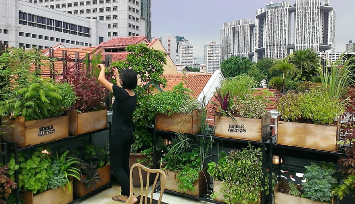 ExtinctionR's tweet photo. This is #Foodscaping. 

Each front and backyard, and public spaces with lawn are reclaimed for conscious design to grow food and create environments for wildlife.

Neighbors consult, interact, plan and share. #Permaculture #Regenerate2020 #Abundance https://t.co/JkU3ctkIX0