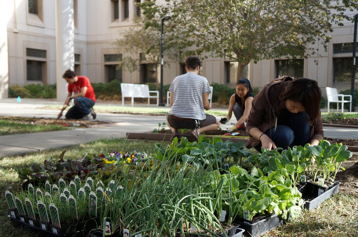 ExtinctionR's tweet photo. This is #Foodscaping. 

Each front and backyard, and public spaces with lawn are reclaimed for conscious design to grow food and create environments for wildlife.

Neighbors consult, interact, plan and share. #Permaculture #Regenerate2020 #Abundance https://t.co/JkU3ctkIX0